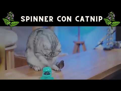 Juguete giratorio para gatos con bolas de Catnip